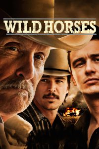 Poster Wild Horses