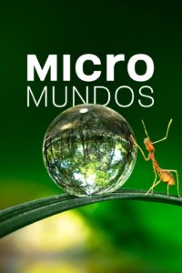 Poster Micromundos