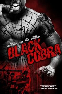 Poster Black Cobra