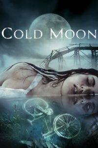 Poster Cold Moon