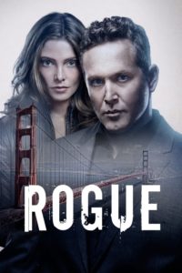 Poster Rogue