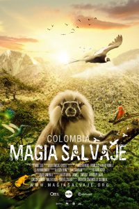 Poster Colombia Magia Salvaje