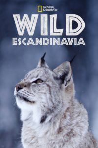 Poster Escandinavia salvaje (Wild Nordic)