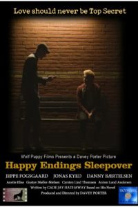 Poster Happy Endings Sleepover