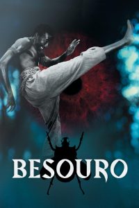 Poster Besouro