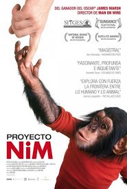 Poster Proyecto Nim