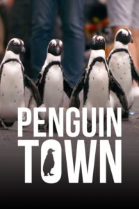 Poster Colonia Pinguinos (Penguin Town)