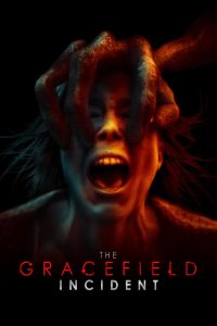 Poster The Gracefield Incident