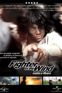 Poster Fighter in the Wind