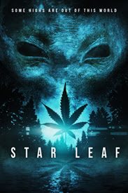 Poster Star Leaf