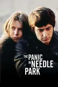 Poster Pánico en Needle Park