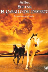 Poster Shetan, el caballo del desierto