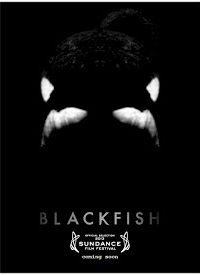 Poster Blackfish