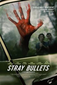 Poster Stray Bullets