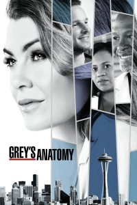 Poster Anatomía de Grey (Greys Anatomy)
