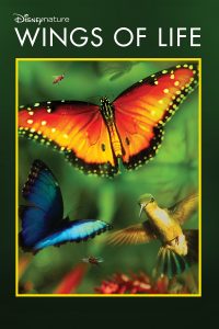 Poster Wings Of Life