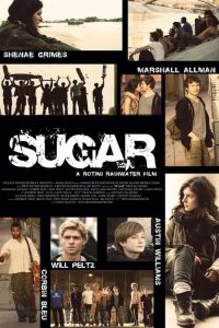 Poster Sugar