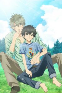 Poster Super Lovers