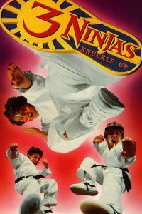 Poster Tres Pequeños Ninjas 3