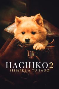 Poster Hachiko