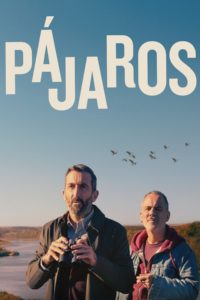 Poster Pájaros