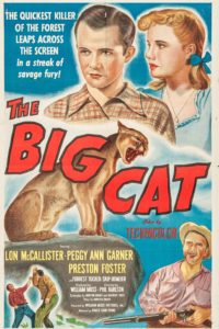 Poster El gran gato