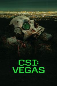 Poster CSI: Vegas
