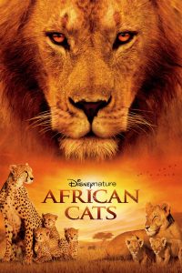 Poster Grandes felinos africanos: el reino del coraje