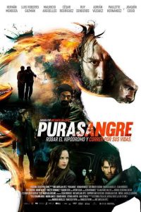 Poster Purasangre