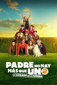 Poster Padre no hay más que uno 2: La llegada de la suegra