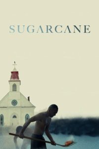 Poster Sugarcane