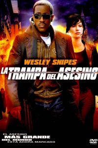 Poster La trampa del asesino