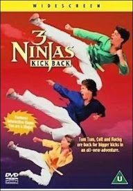 Poster Tres Pequeños Ninjas 2