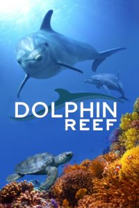 Poster Dolphin Reef