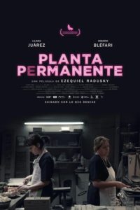 Poster Planta permanente