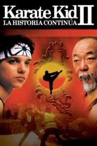 Poster Karate Kid II, la historia continúa