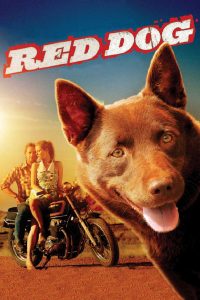 Poster Red Dog, una historia de lealtad