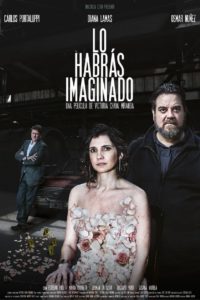 Poster Lo habrás imaginado