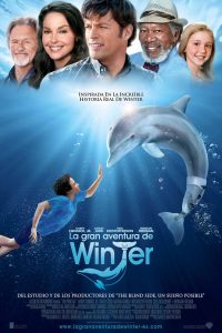 Poster Winter, el delfín