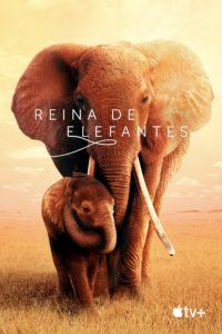 Poster The Elephant Queen
