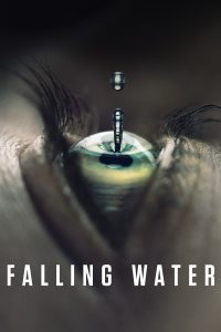 Poster Falling Water