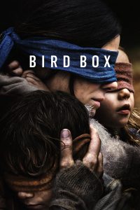 Poster Bird Box: A Ciegas