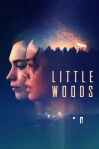 Poster Little Woods