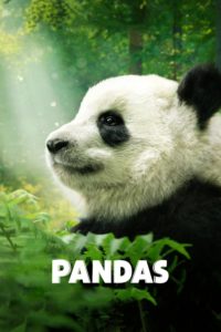 Poster Pandas