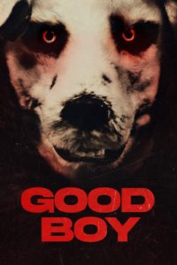 Poster Good Boy