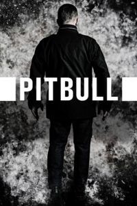 Poster Pitbull