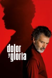Poster Dolor y Gloria