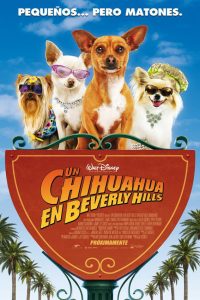 Poster Un chihuahua en Beverly Hills