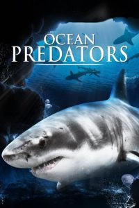 Poster Ocean Predators