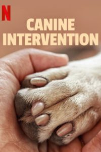 Poster Canine Intervention